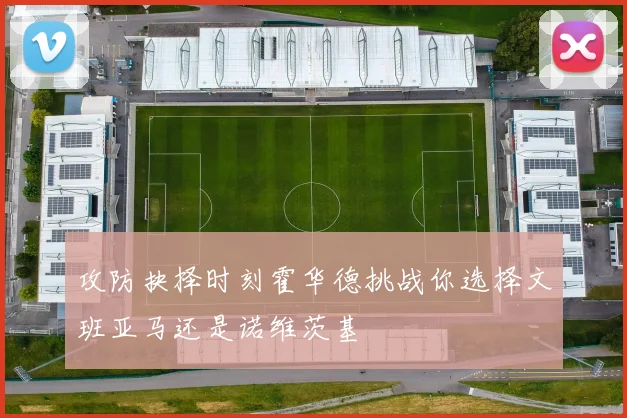 攻防抉择时刻霍华德挑战你选择文班亚马还是诺维茨基